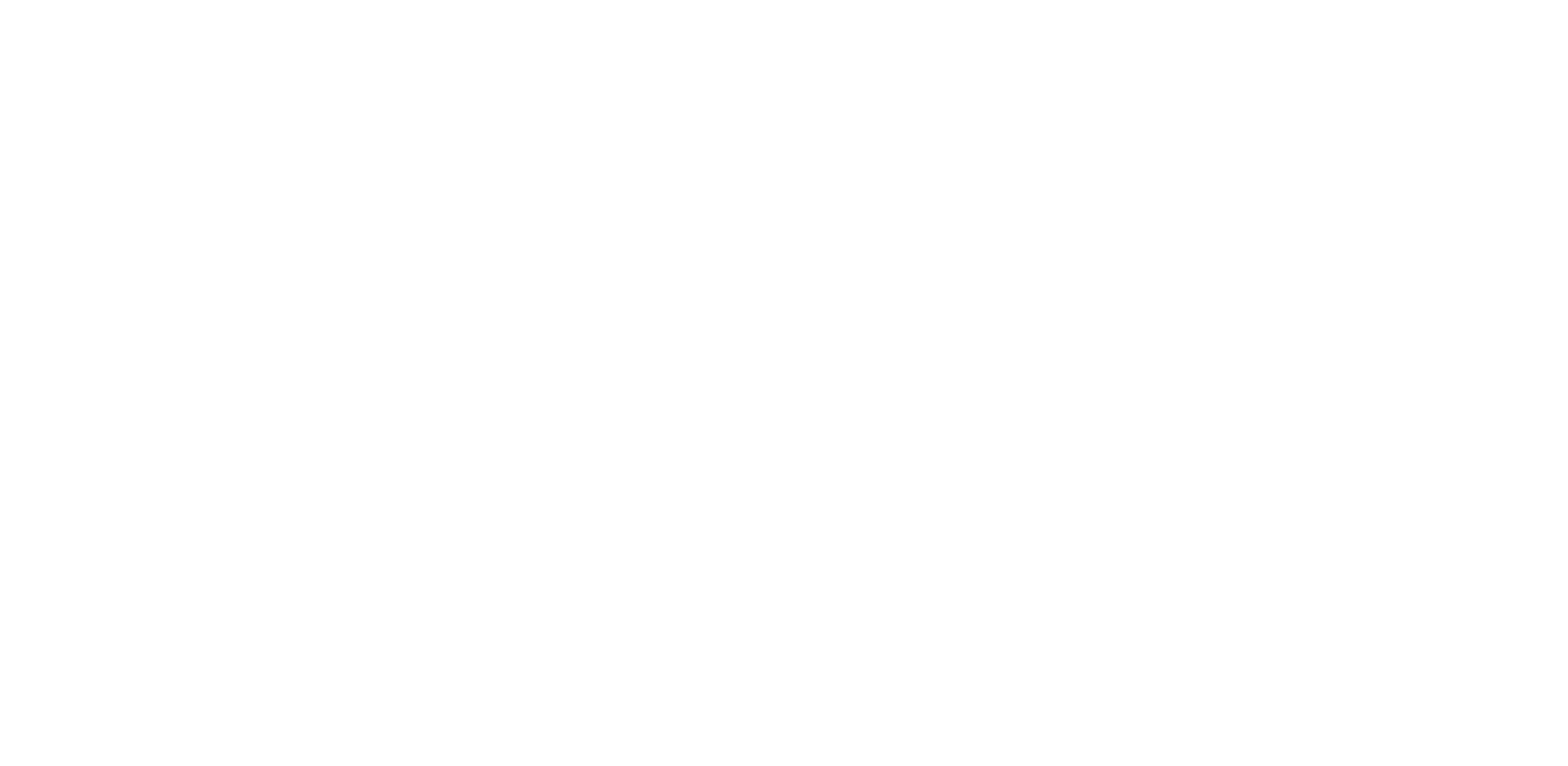 CHA Star Holdings